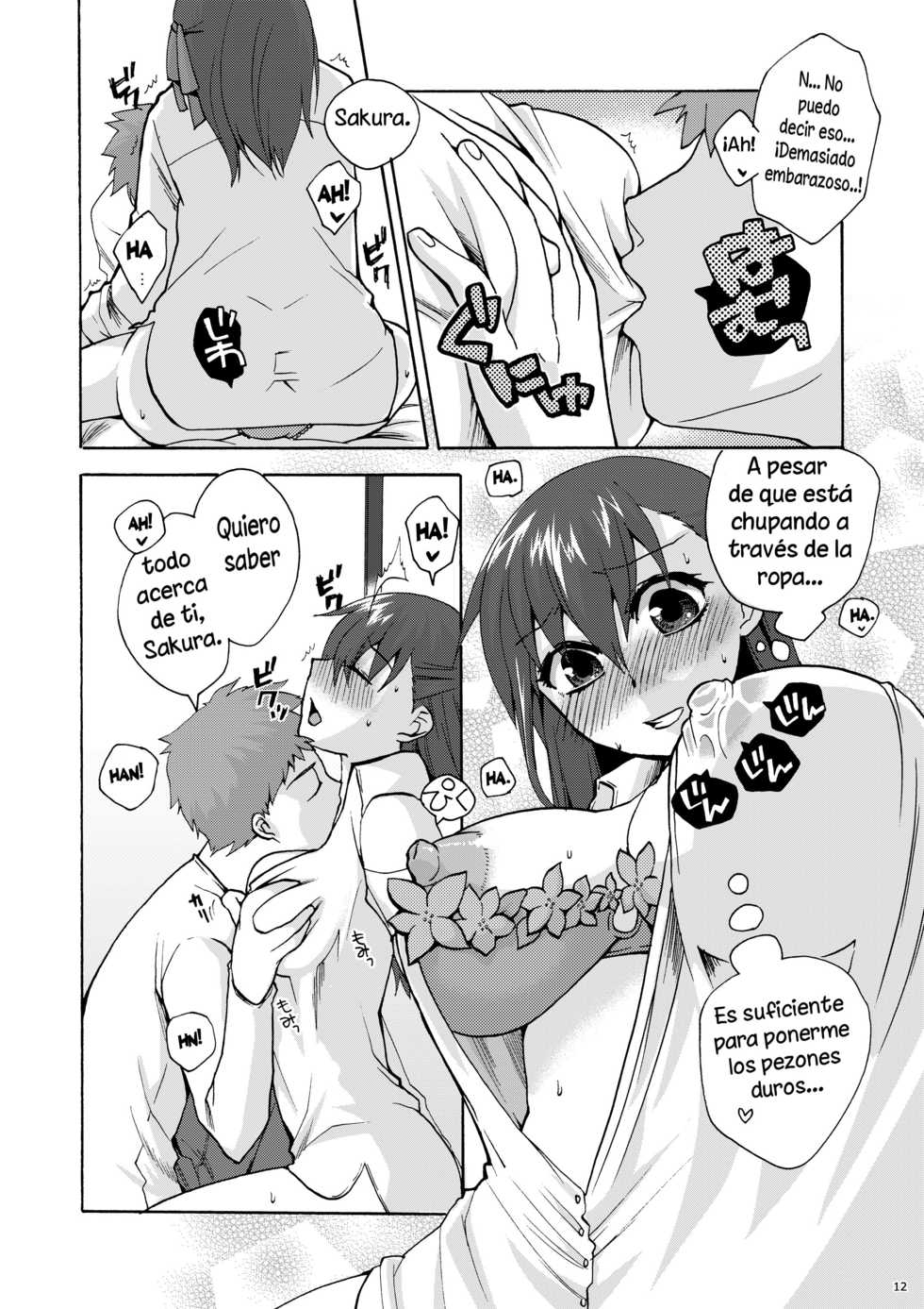(C77) [TRIP SPIDER (niwacho)] Hitohira (Fate/stay night) [Spanish] (Solarismaximum) - Page 11