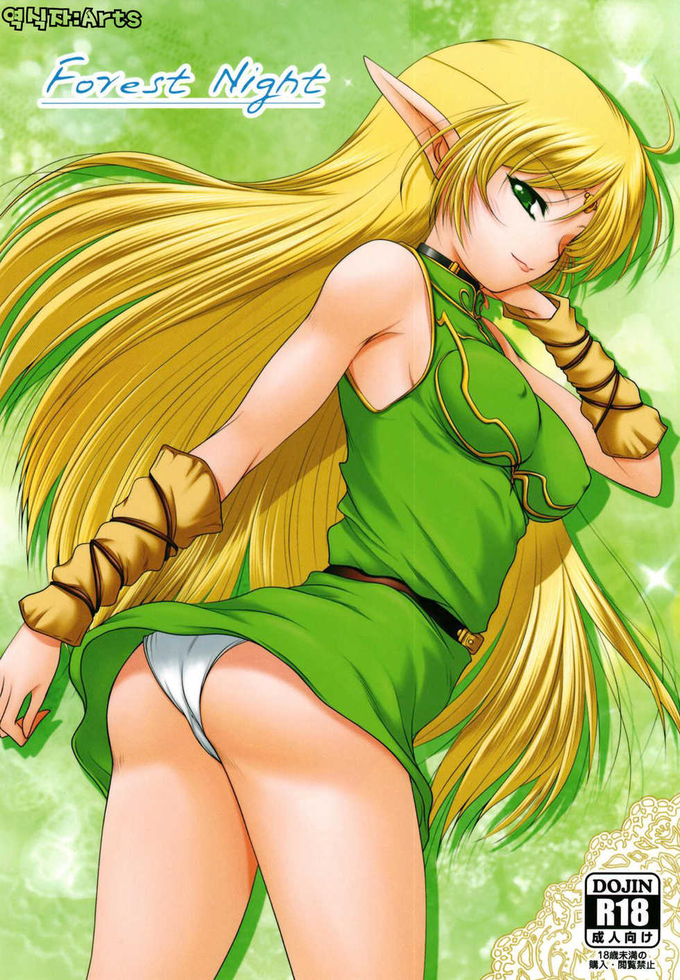 (C93) [Ai Wa Kurayami (Marui Ryuu)] Forest night (Record of Lodoss War) [Korean] [Arts] - Page 1