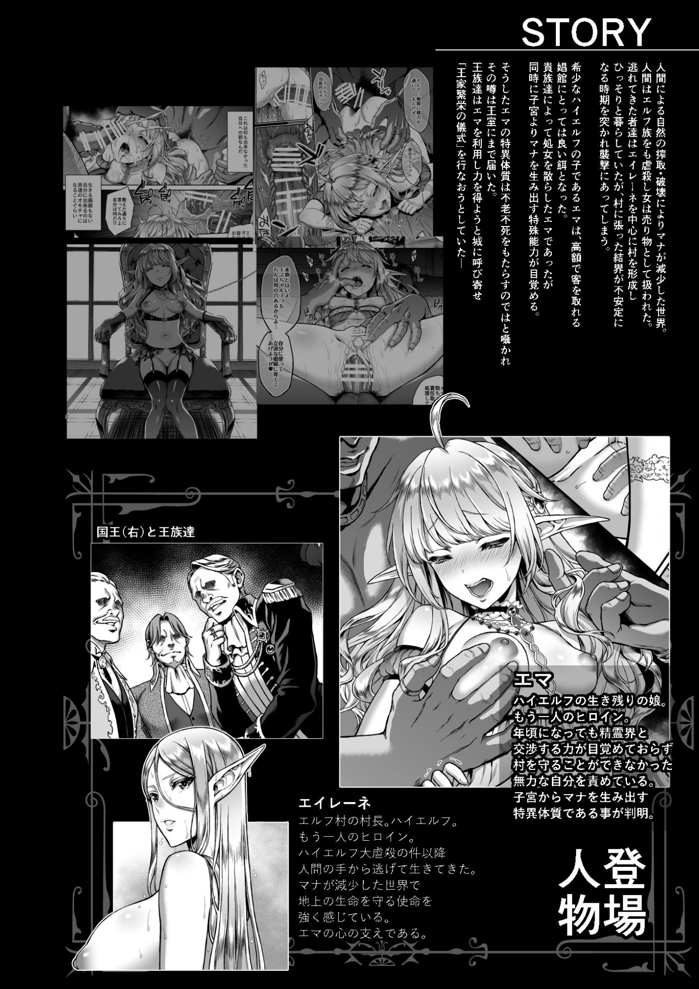 [H.B.A (Usagi Nagomu)] Tasogare no Shou Elf 6 - The story of Emma's side [Digital] - Page 2