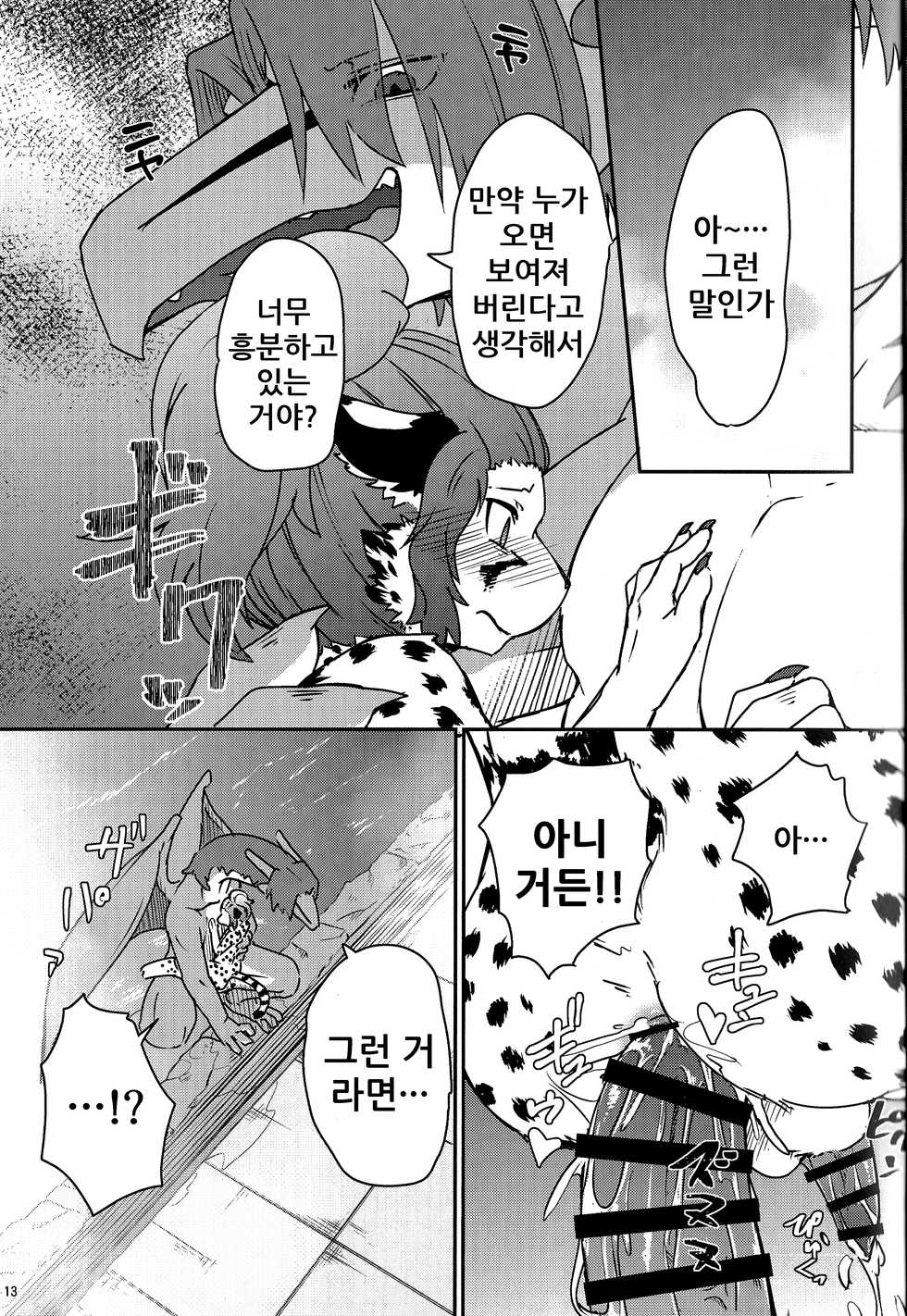 (Kemoket 8) [Tail Spot (Urekemo LaLa)] Cat & Dragon 4 [Korean] [나나치 저장소] - Page 13