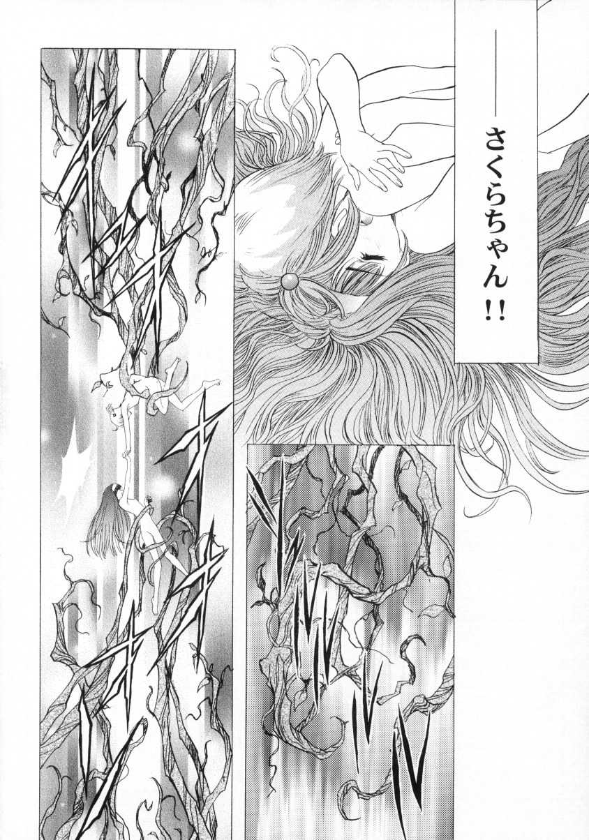 (C60) [Henreikai (Kawarajima Koh)] Sakura Ame Final (Gekan) (Cardcaptor Sakura) - Page 7