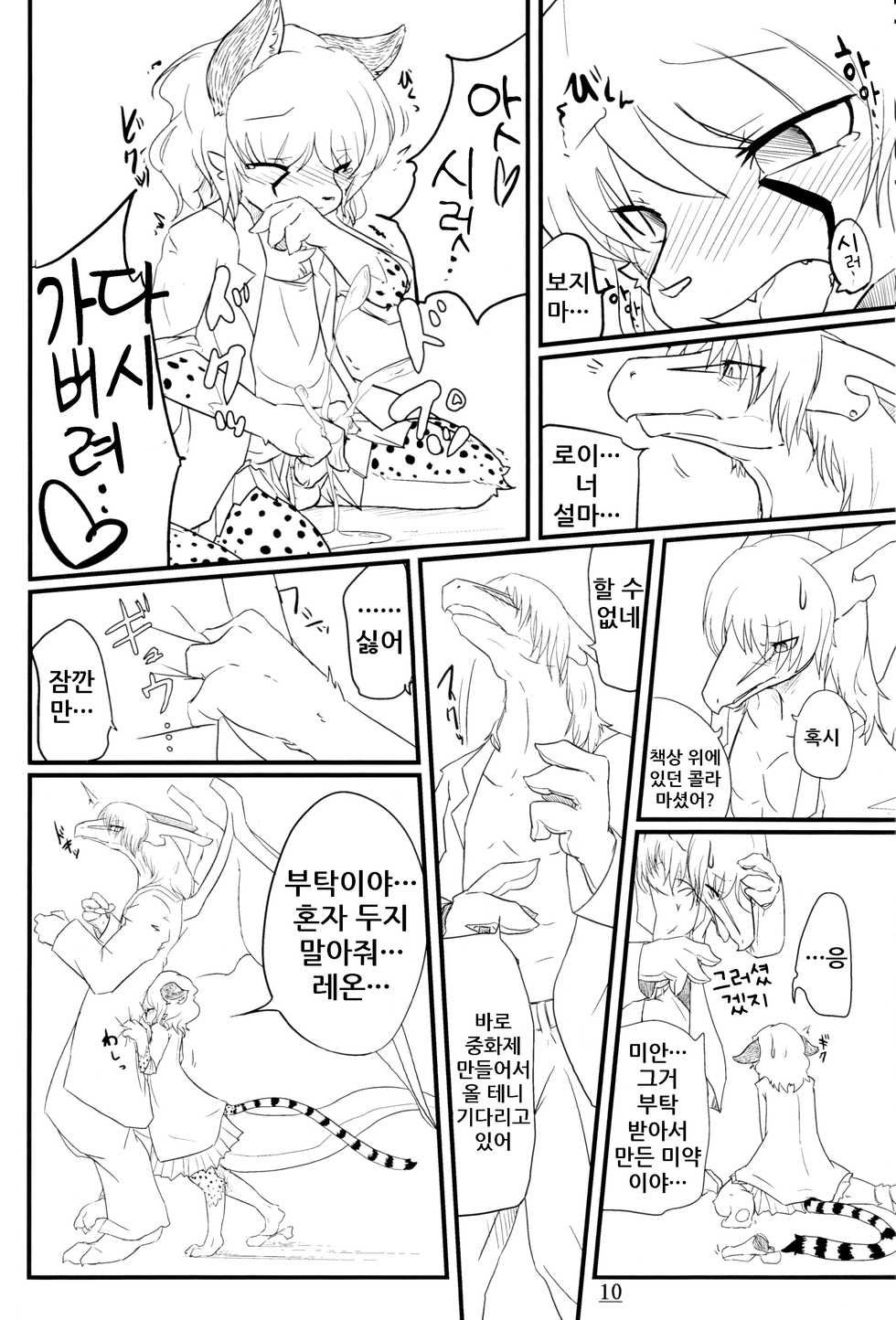 (C80) [Tail Spot (Urekemo LaLa)] Cat & Dragon [Korean] [decensored] - Page 10