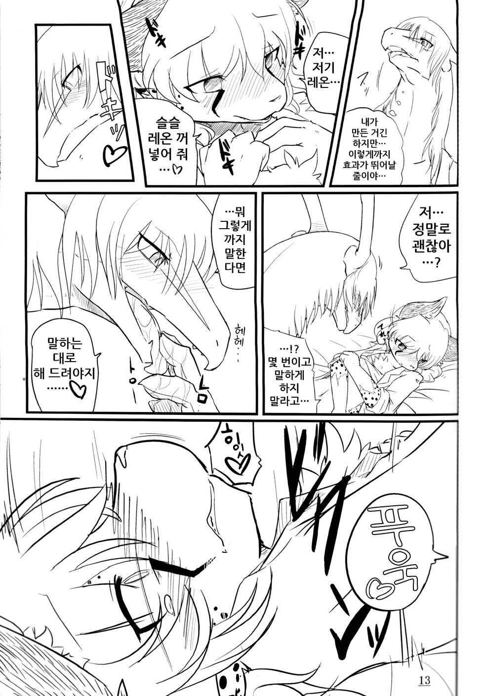 (C80) [Tail Spot (Urekemo LaLa)] Cat & Dragon [Korean] [decensored] - Page 13