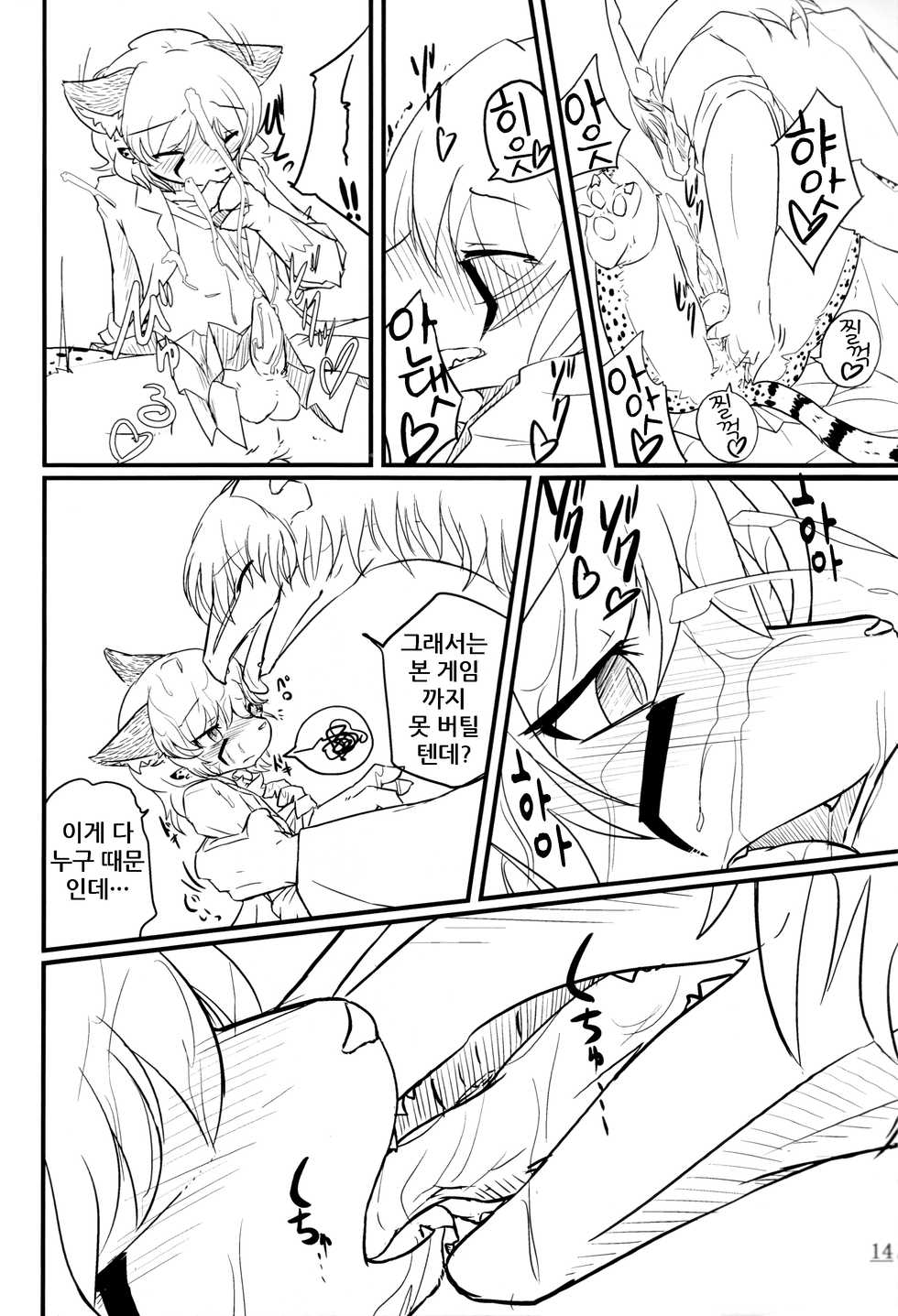 (C80) [Tail Spot (Urekemo LaLa)] Cat & Dragon [Korean] [decensored] - Page 14