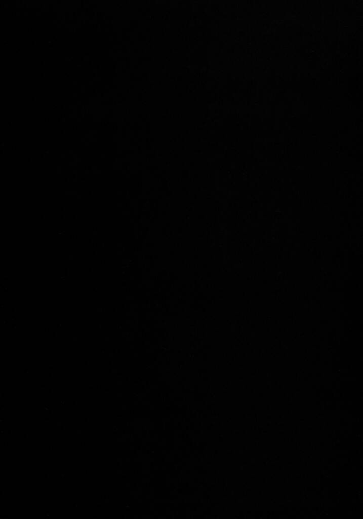 (C62) [American Kenpou (Kikuchi Seiji, Yabuki Gou)] Tokage Head no Na ni Kakete... (Chobits, Final Fantasy XI) - Page 5