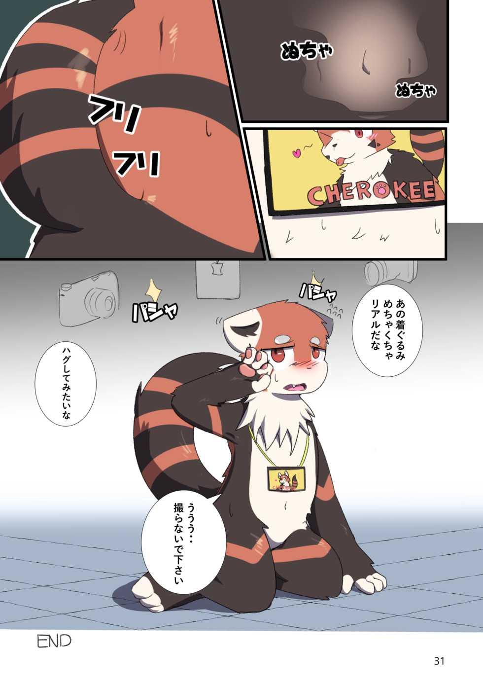 [Kokorotokarefu (sano)] TF Tanpenshuu (Various) [Digital] - Page 31