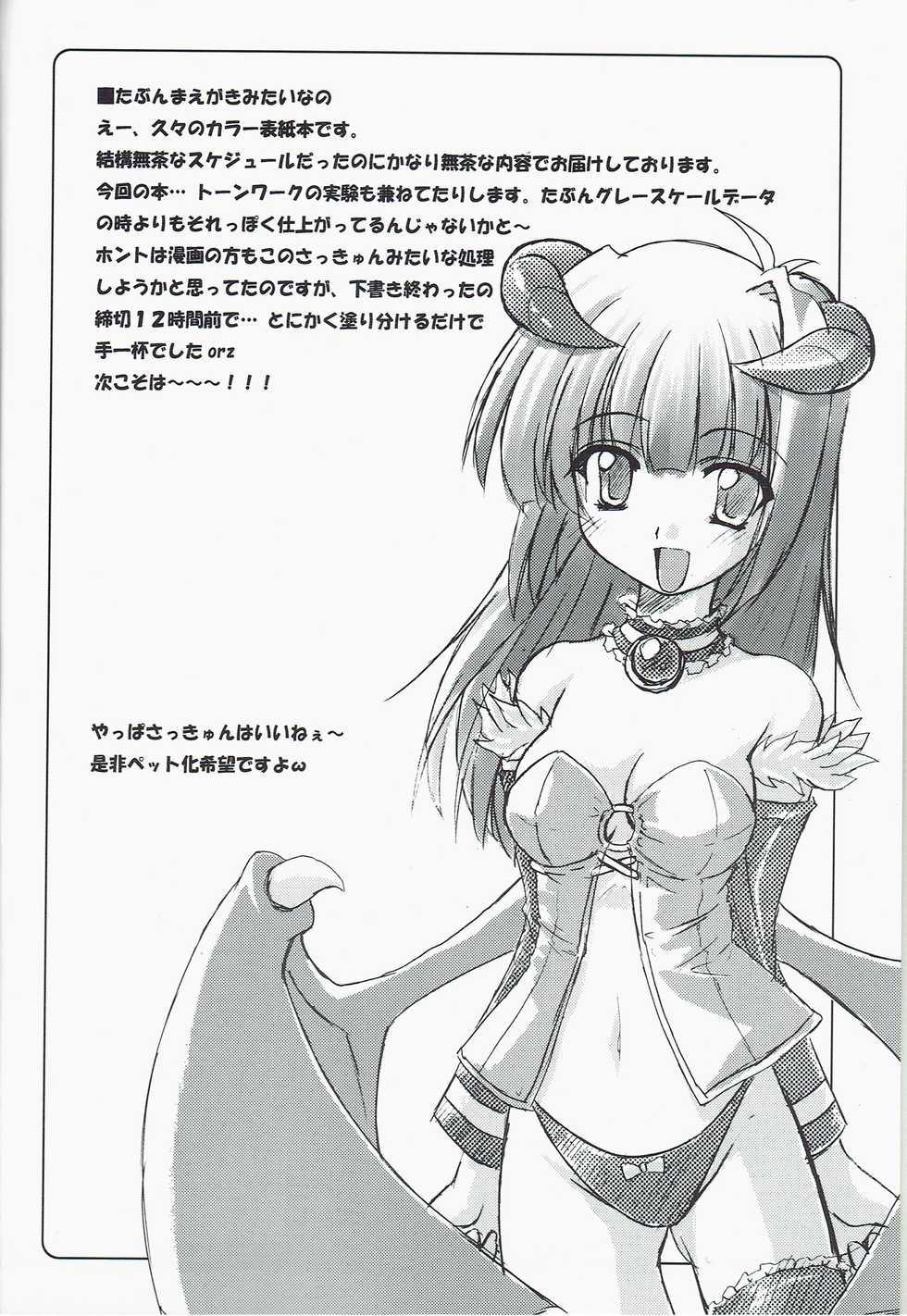 (C66) [Usakura (Koto)] Itsu made Tatte mo Mijissou + SC25 Paper (Ragnarok Online) - Page 4