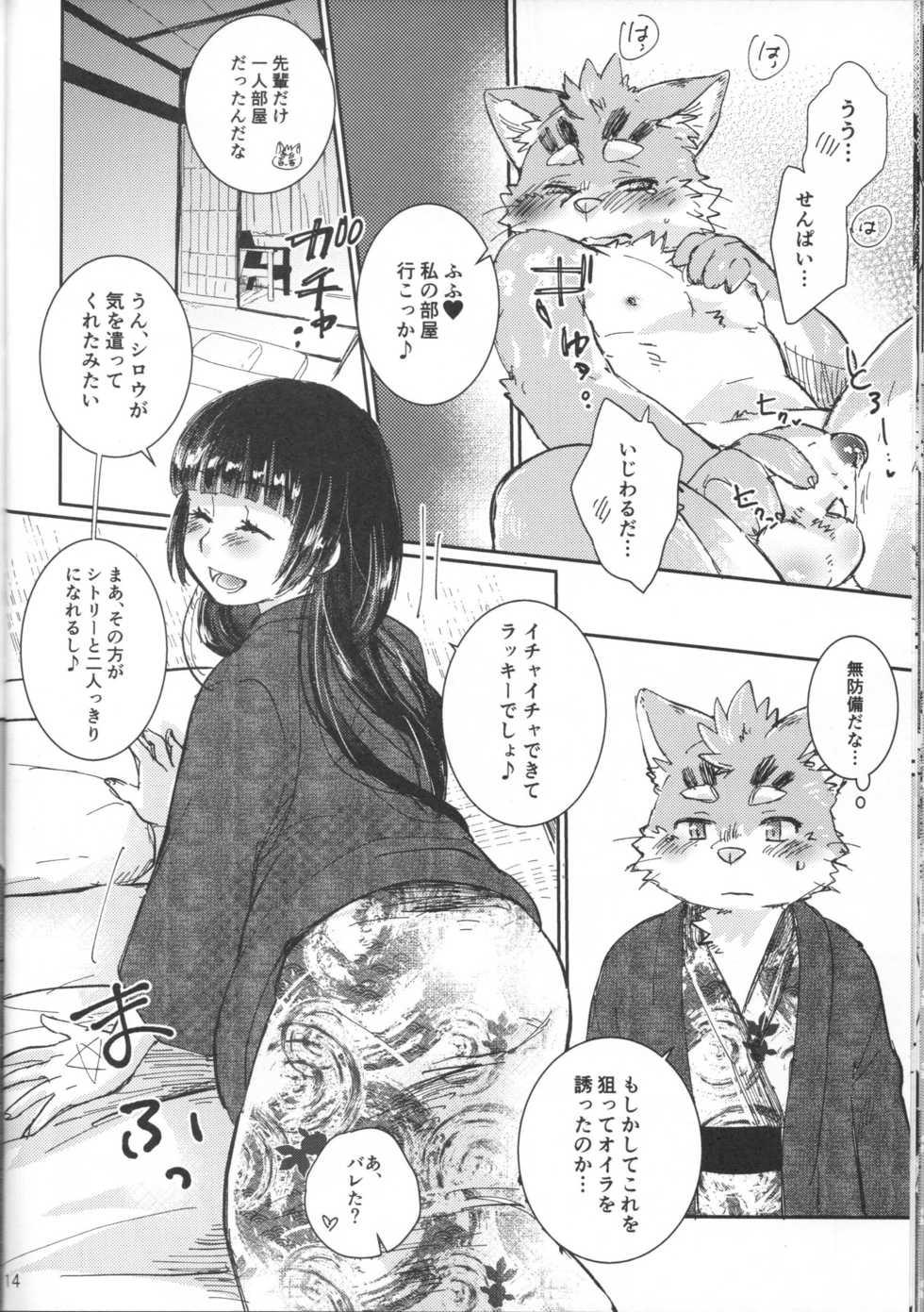 (Kemoket 8) [HALLUCIGENIA (Nekoma Haruki)] Akuma no Itoshi Kata (Tokyo Afterschool Summoners) - Page 13