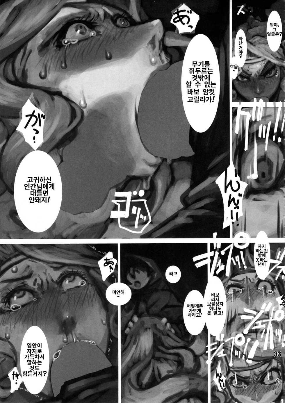 (C85) [nWa (Various)] Amazone ~The Second Impression~ (Dragon's Crown) [Korean] - Page 32