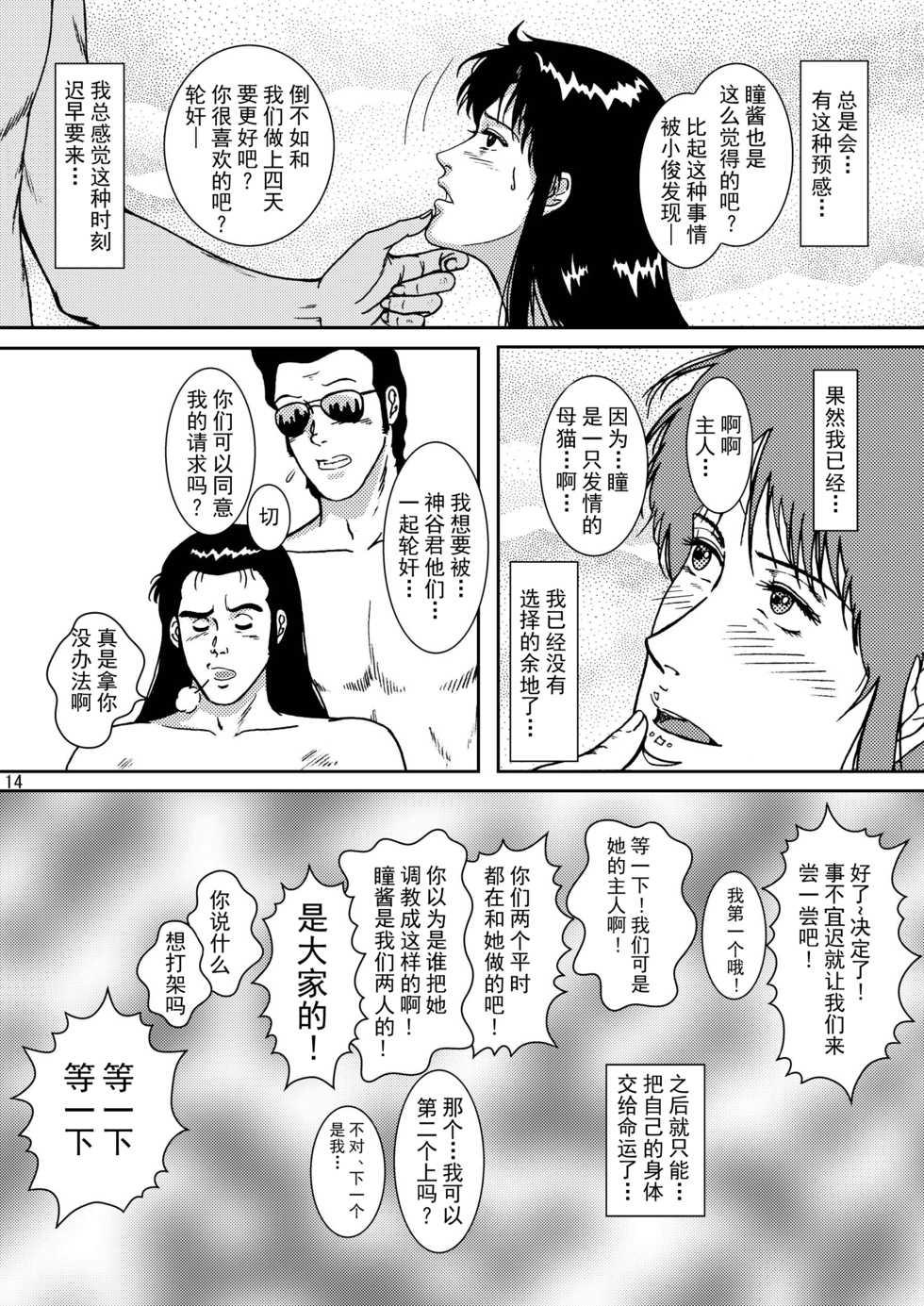 (C69) [Atelier Pinpoint (CRACK)] NIGHTFLY vol.5 EVE of DESTRUCTION (Cat's Eye) [Chinese] [不咕鸟汉化组] - Page 13