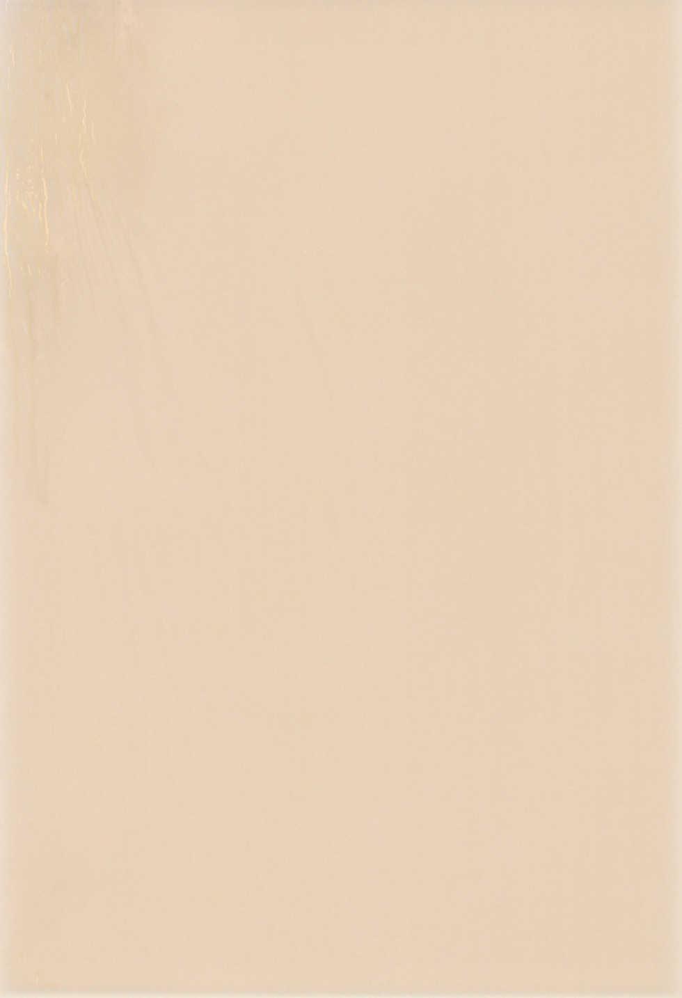 (C60) [Tenny Le Tai (R-Koga, EFINK)] Sekai de Ichiban Neko Maid - Page 4