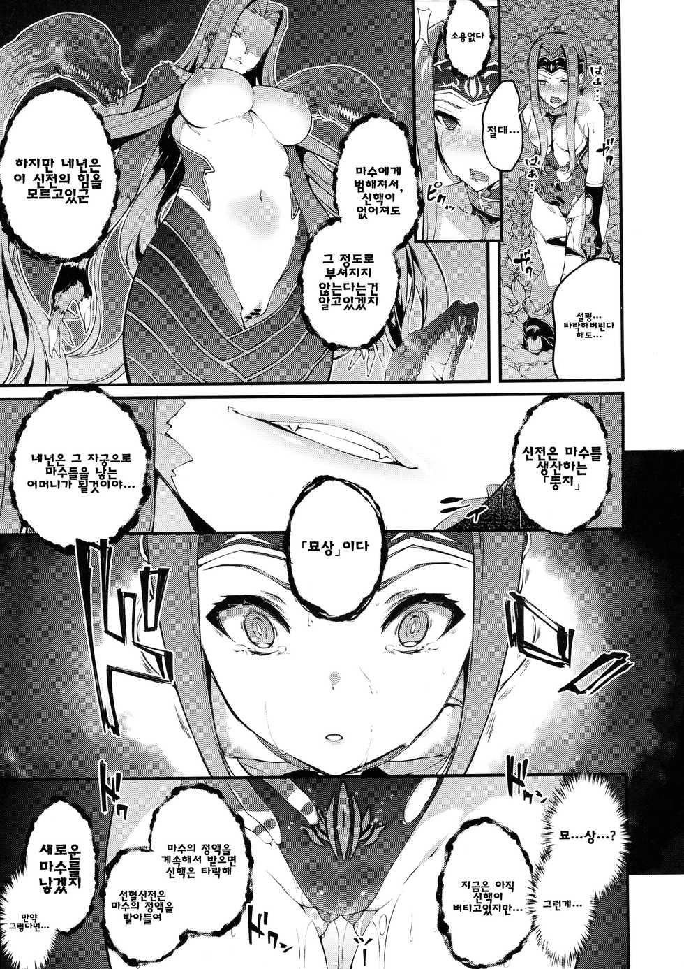 (C97) [Sheepfold (Tachibana Yuu)] Babylonia Darkness (Fate/Grand Order) [korean] - Page 12