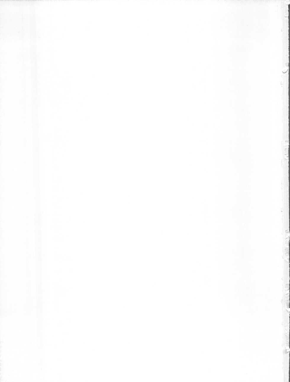 (CR17) [Mizumo Club (Mizushiro Takuya)] Go!! Far East (Macross 7, Akazukin Chacha) [English] [EHCOVE] - Page 35