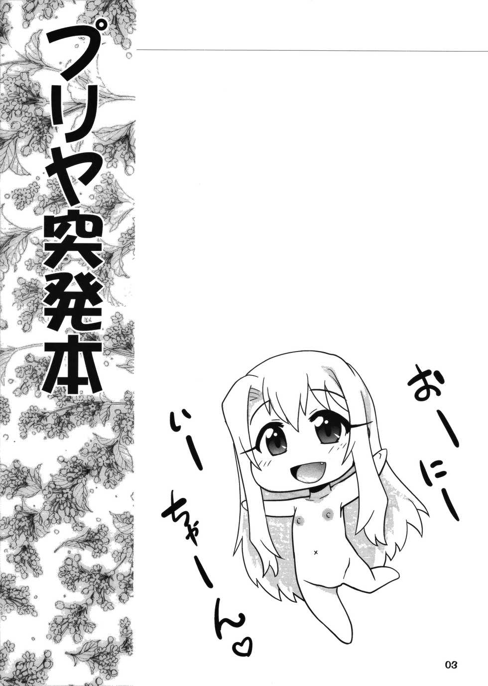 (C84) [PNO Group (Hase Yuu)] Priya Toppatsu Bon Moshimo Ichiwa no Ano Scene de... (Fate/kaleid liner Prisma Illya)[Chinese] [嗶咔嗶咔漢化組] - Page 2