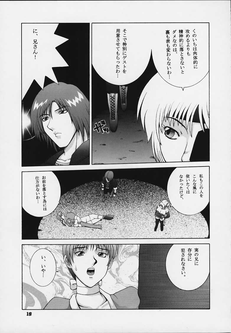 (C58) [Dynamite Honey (Gaigaitai)] Dynamite 6 DEAD OR ALIVE 2 (Dead or Alive) - Page 17