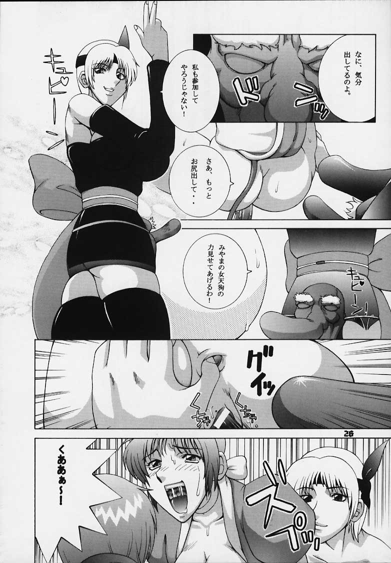 (C58) [Dynamite Honey (Gaigaitai)] Dynamite 6 DEAD OR ALIVE 2 (Dead or Alive) - Page 24