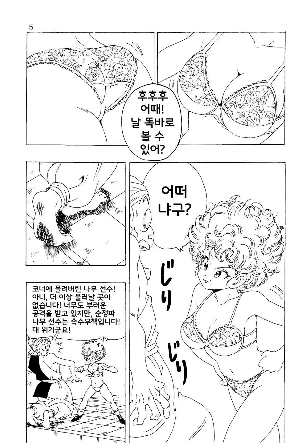 [Monkees (YoungJiJii)] Ranfan LOVE | 란팡 LOVE (Dragon Ball) [Korean] [Team SoonJae] - Page 6