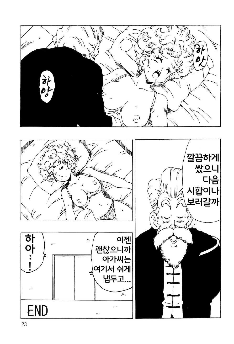 [Monkees (YoungJiJii)] Ranfan LOVE | 란팡 LOVE (Dragon Ball) [Korean] [Team SoonJae] - Page 24