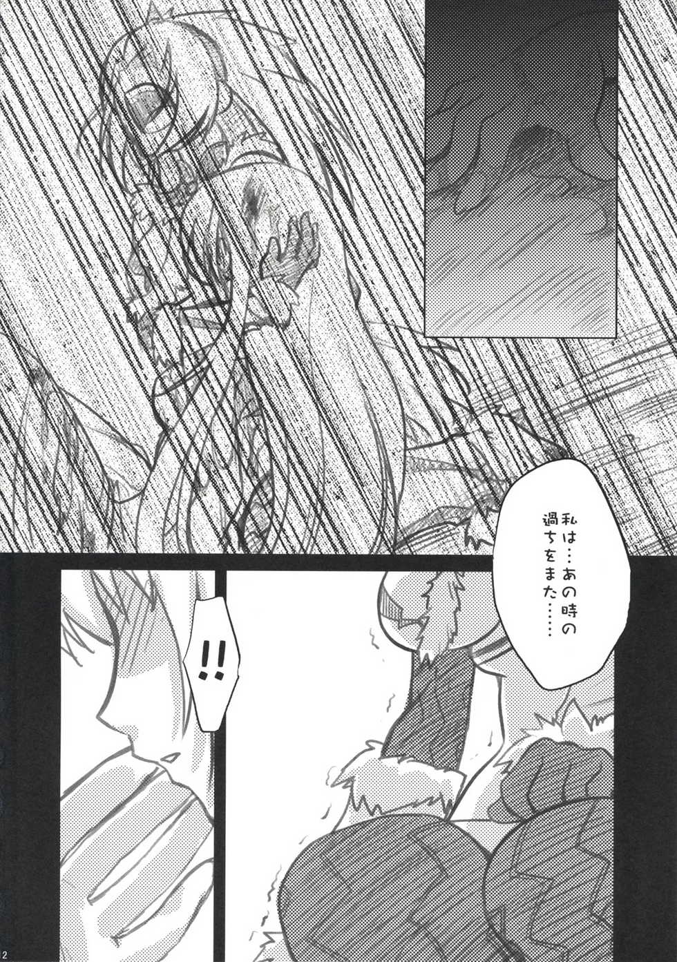 (C73) [Princess Heart (Amagai Yukino)] Kariudo Hakusho (Monster Hunter) - Page 11