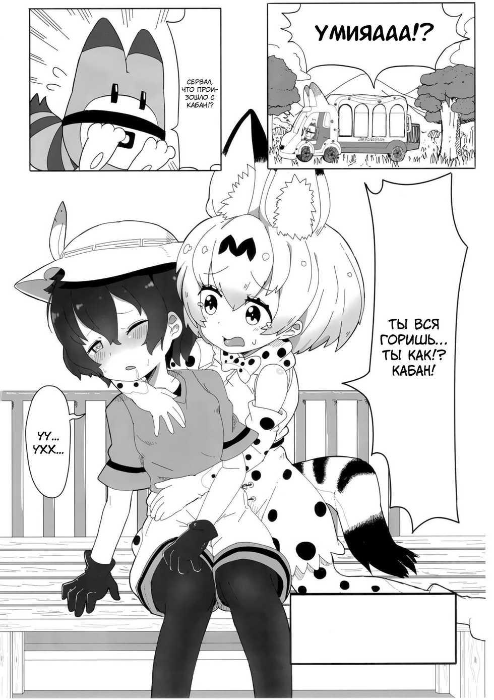 (CT33) [Wild Cat House (Nekonyan, Hatori)] SerKaba Sukebe Book | Течка сводящая с ума (Kemono Friends) [Russian] [Arturka] - Page 5