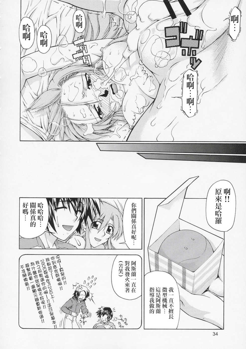 (C67) [Gold Rush (Suzuki Address)] Edition (Omote) (Gundam Seed) [Chinese] [风油精汉化组] - Page 34