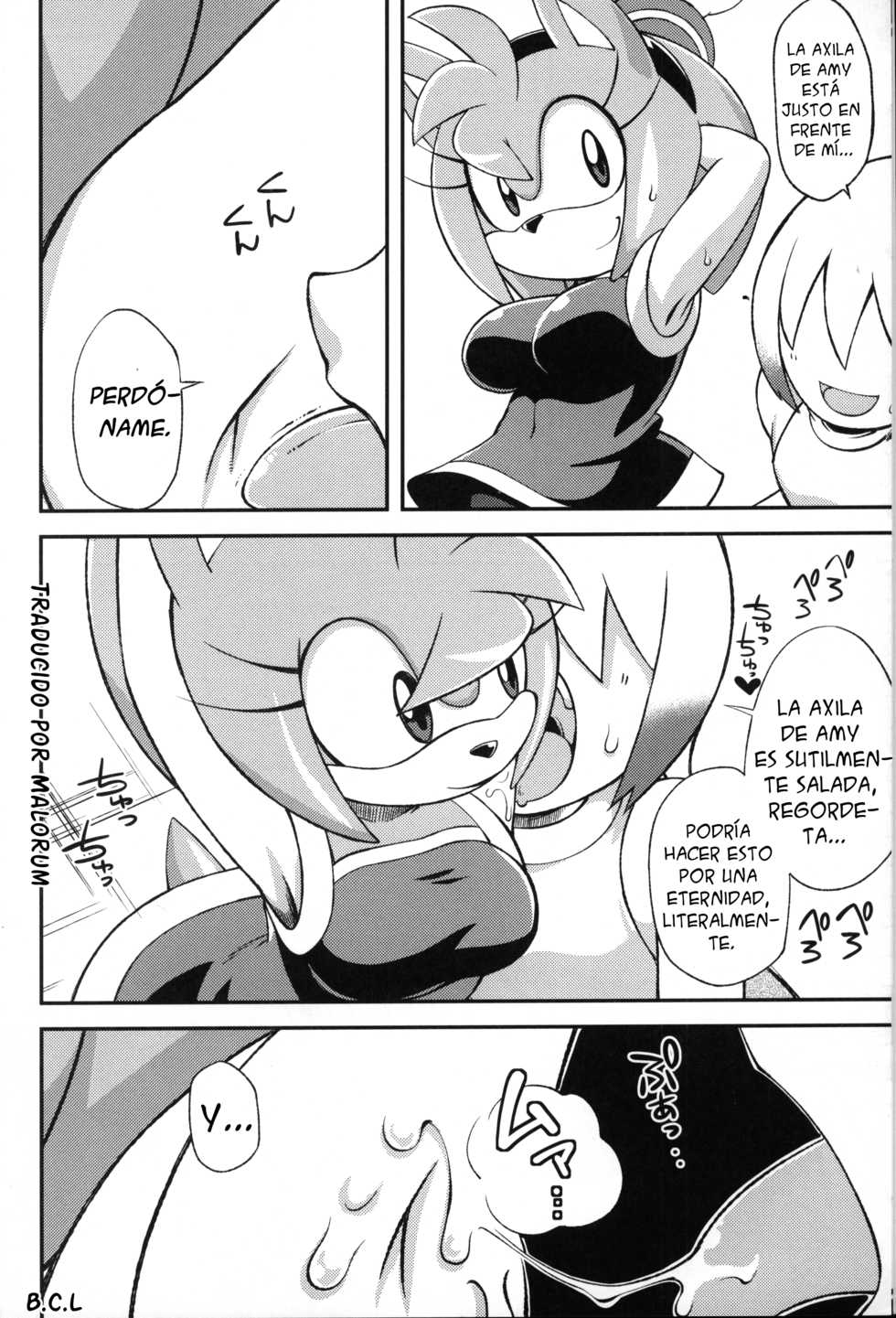 (C83) [Tengai Aku Juumonji (Various)] Ore no Fuyu 2012 (Sonic the Hedgehog) [Spanish] [Malorum] - Page 5