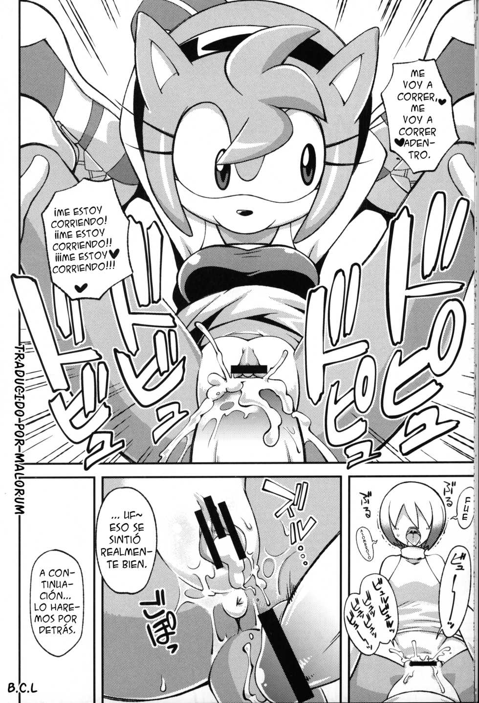 (C83) [Tengai Aku Juumonji (Various)] Ore no Fuyu 2012 (Sonic the Hedgehog) [Spanish] [Malorum] - Page 13