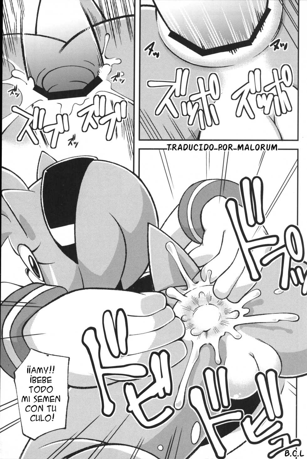 (C83) [Tengai Aku Juumonji (Various)] Ore no Fuyu 2012 (Sonic the Hedgehog) [Spanish] [Malorum] - Page 16