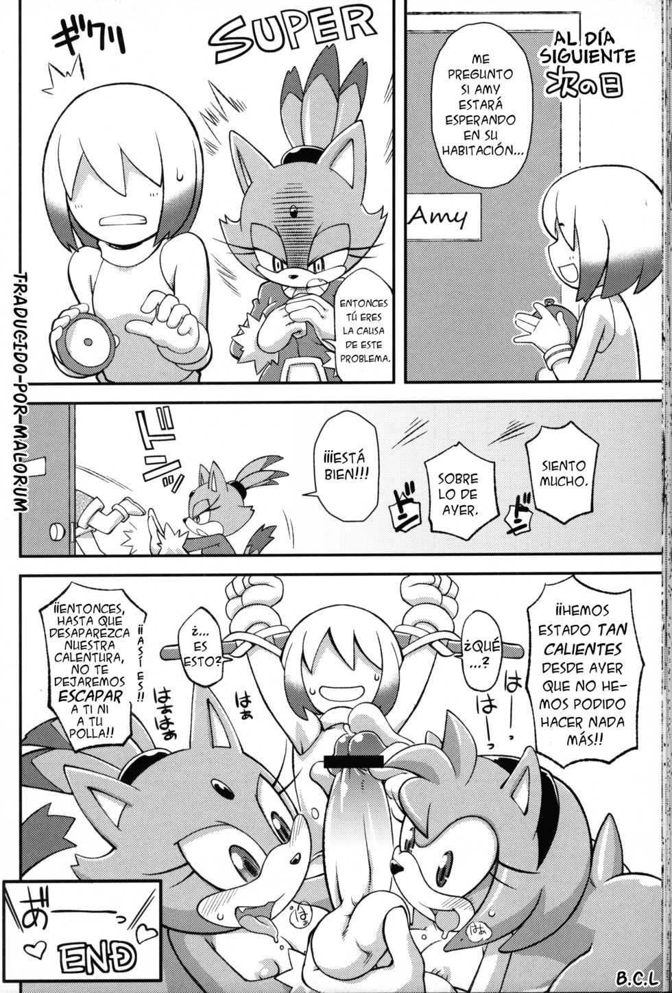 (C83) [Tengai Aku Juumonji (Various)] Ore no Fuyu 2012 (Sonic the Hedgehog) [Spanish] [Malorum] - Page 29