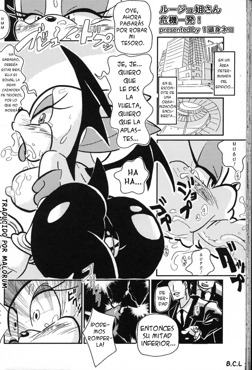 (C83) [Tengai Aku Juumonji (Various)] Ore no Fuyu 2012 (Sonic the Hedgehog) [Spanish] [Malorum] - Page 39