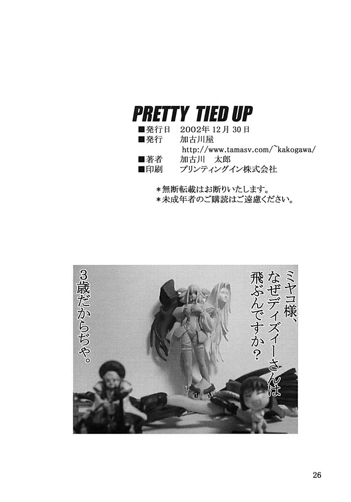 (C63) [Kakogawa-ya (Kakogawa Tarou)] PRETTY TIED UP (Guilty Gear XX) - Page 25