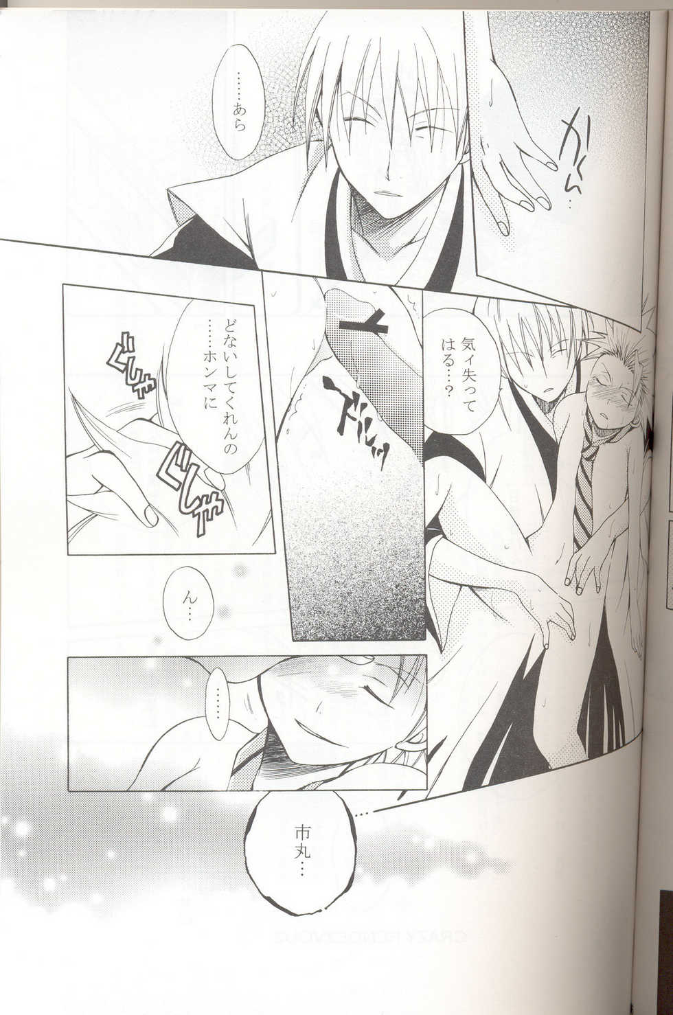 (C69) [Love Scythe (Saiga Mayu)] Crazy Rendezvous (Bleach) - Page 16