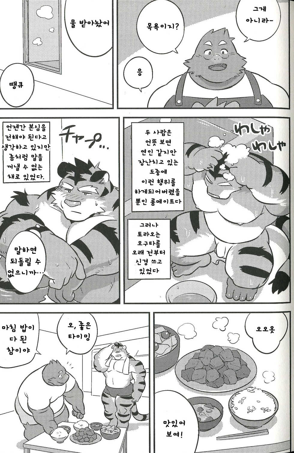 (Kemoket 8) [Monstera (Mato)] Mogu Mogu Roommate | 우물☆우물 룸메이트 [Korean] [Mordy] - Page 4