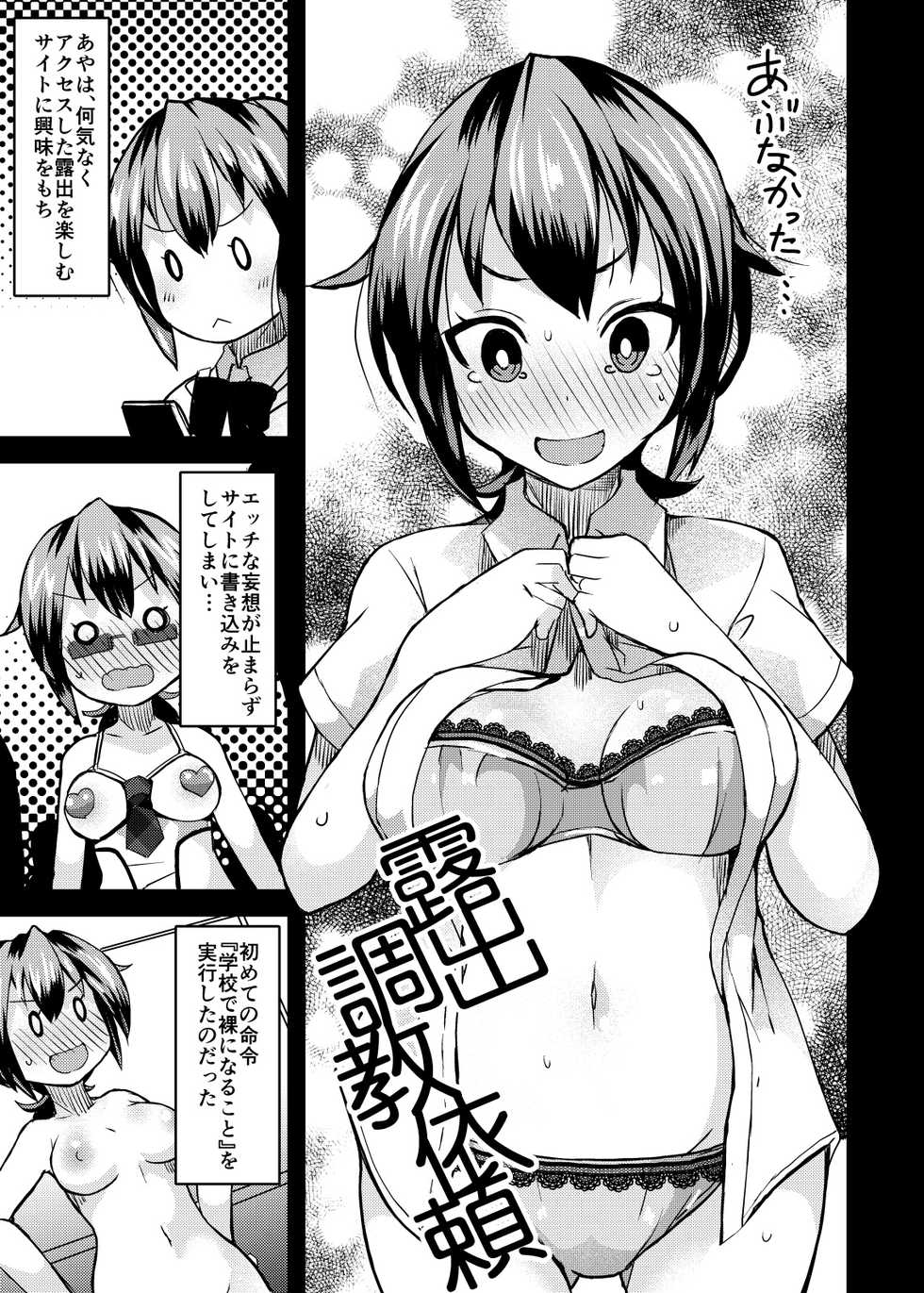 [Lilith Lauda Laboratory (Lilithlauda)] Roshutsu Choukyou Irai 2 [Digital] - Page 3