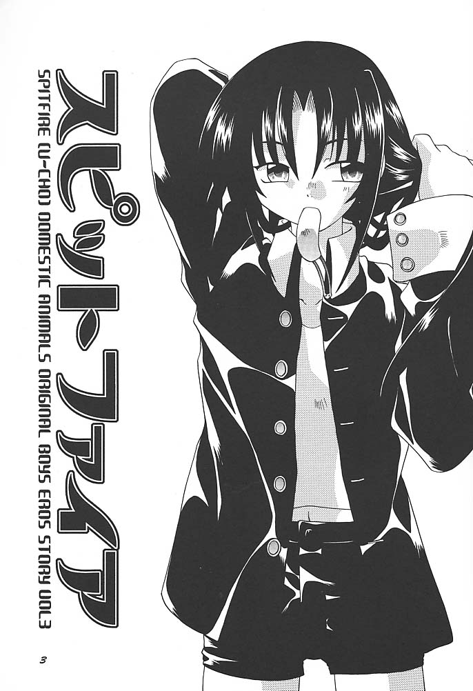 (C59) [Uchoten (Toudou Fumika, Horo Makoto)] SpitFire 3 Higher Self - Page 2
