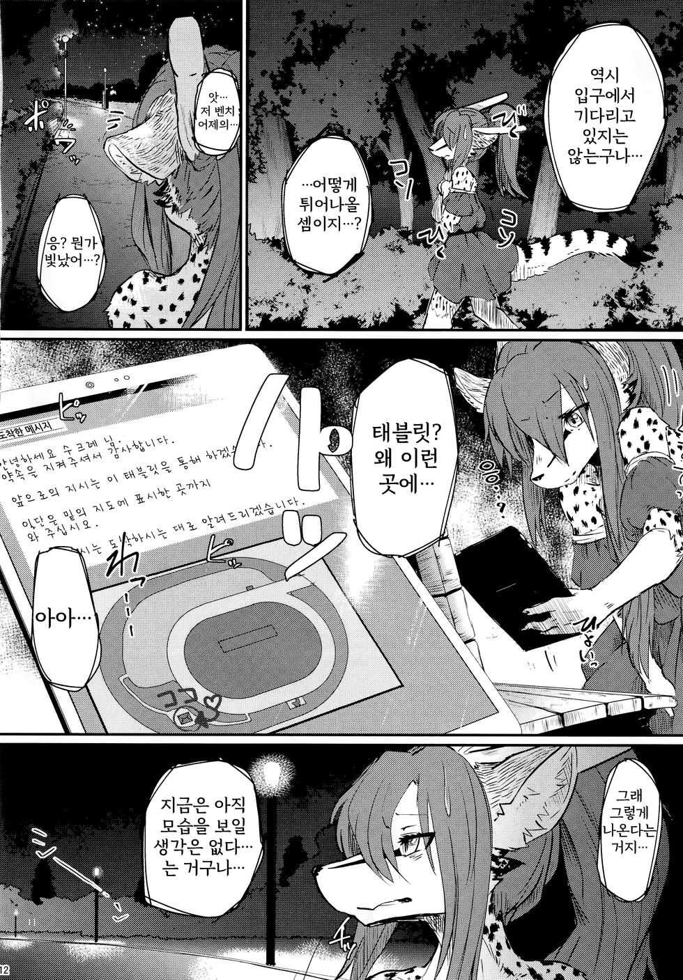 (C94) [Tail Spot (Urekemo LaLa)] Osanpogaeri | 산책하고 가는 길 [Korean] - Page 12