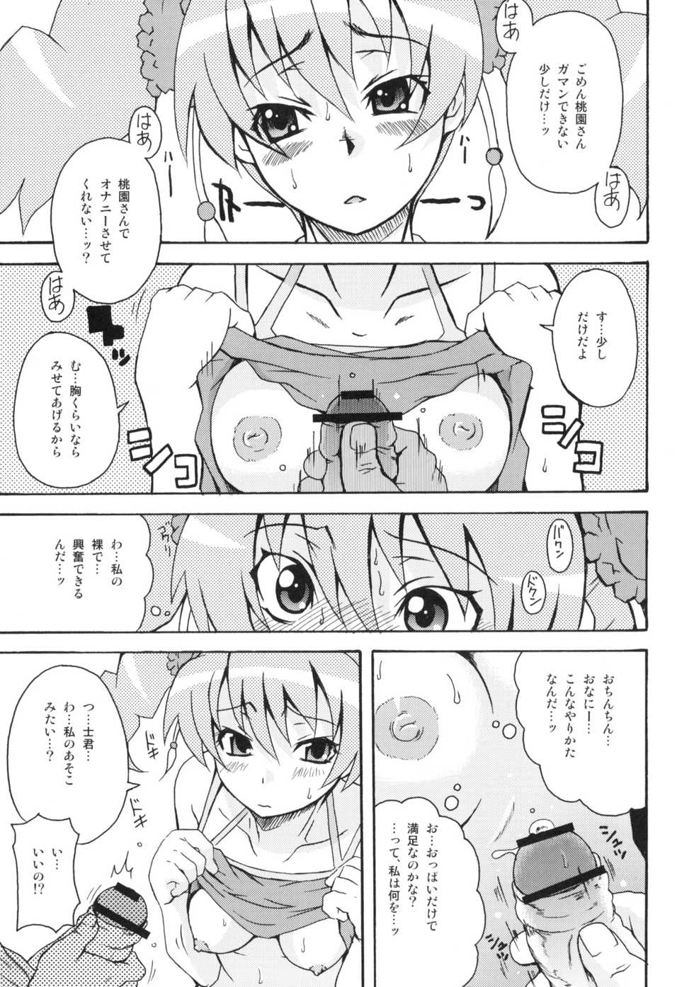 (C76) [Shirando (Shiran Takashi)] LOVE PRETTY CURE (Fresh Precure!) - Page 12