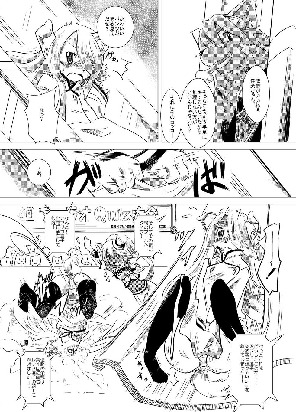 (C80) [Quad Prime (MATRA-MICA)] Solatorobo no Sabu Kyara-tachi. (Solatorobo) - Page 13