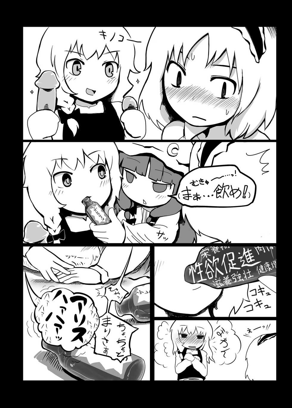 [Yashiya (Yassy)] Touhou Ero Atsume. (Touhou Project) [Digital] - Page 11