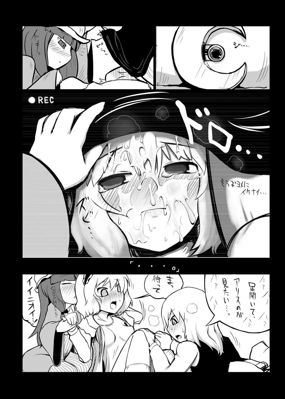 [Yashiya (Yassy)] Touhou Ero Atsume. (Touhou Project) [Digital] - Page 19
