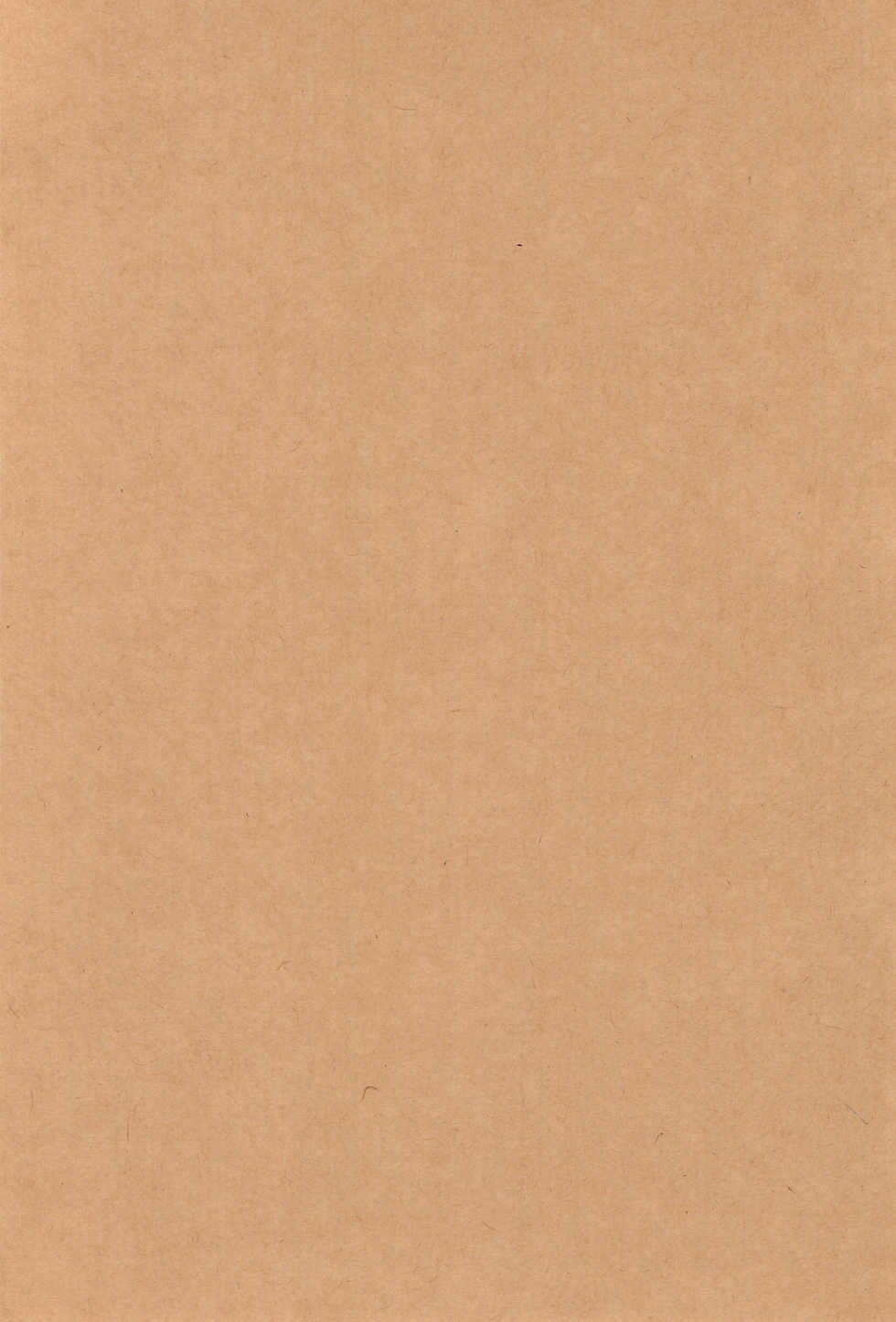 (Shotaket 16) [Hiaibokushugisha (Aratamarazu, Aratamaru)] 20 Seikimatsu Shotabanashi-Shuu - Page 4