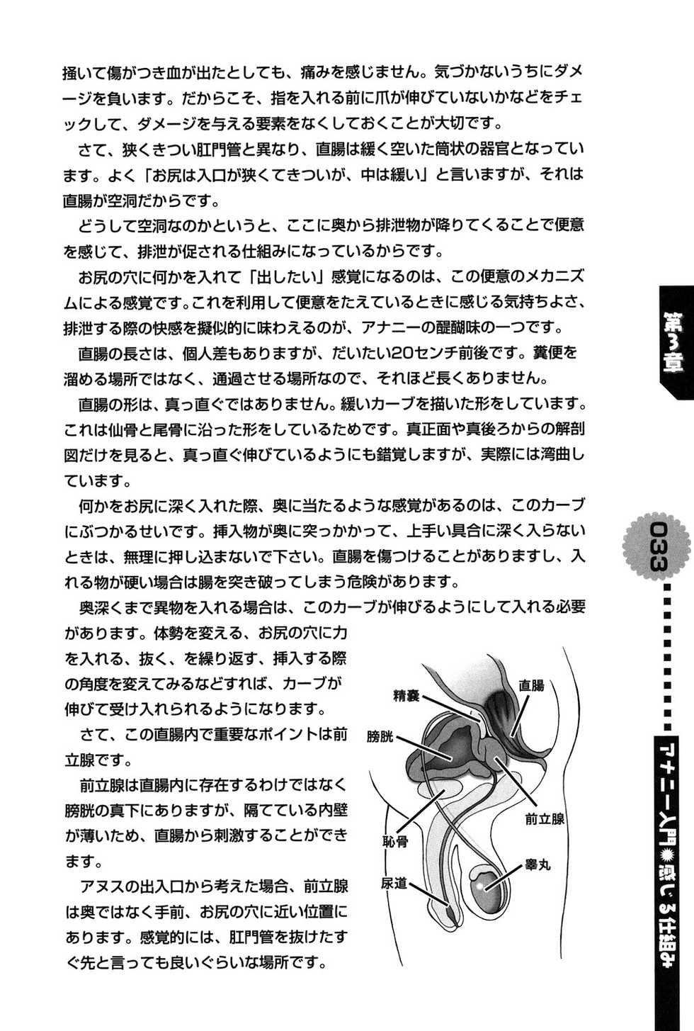 [Abu Hyaku] Hitori de Dekirumon ~ Otokonoko no Tame no Ananie Nyuumon ~ [Digital] - Page 33