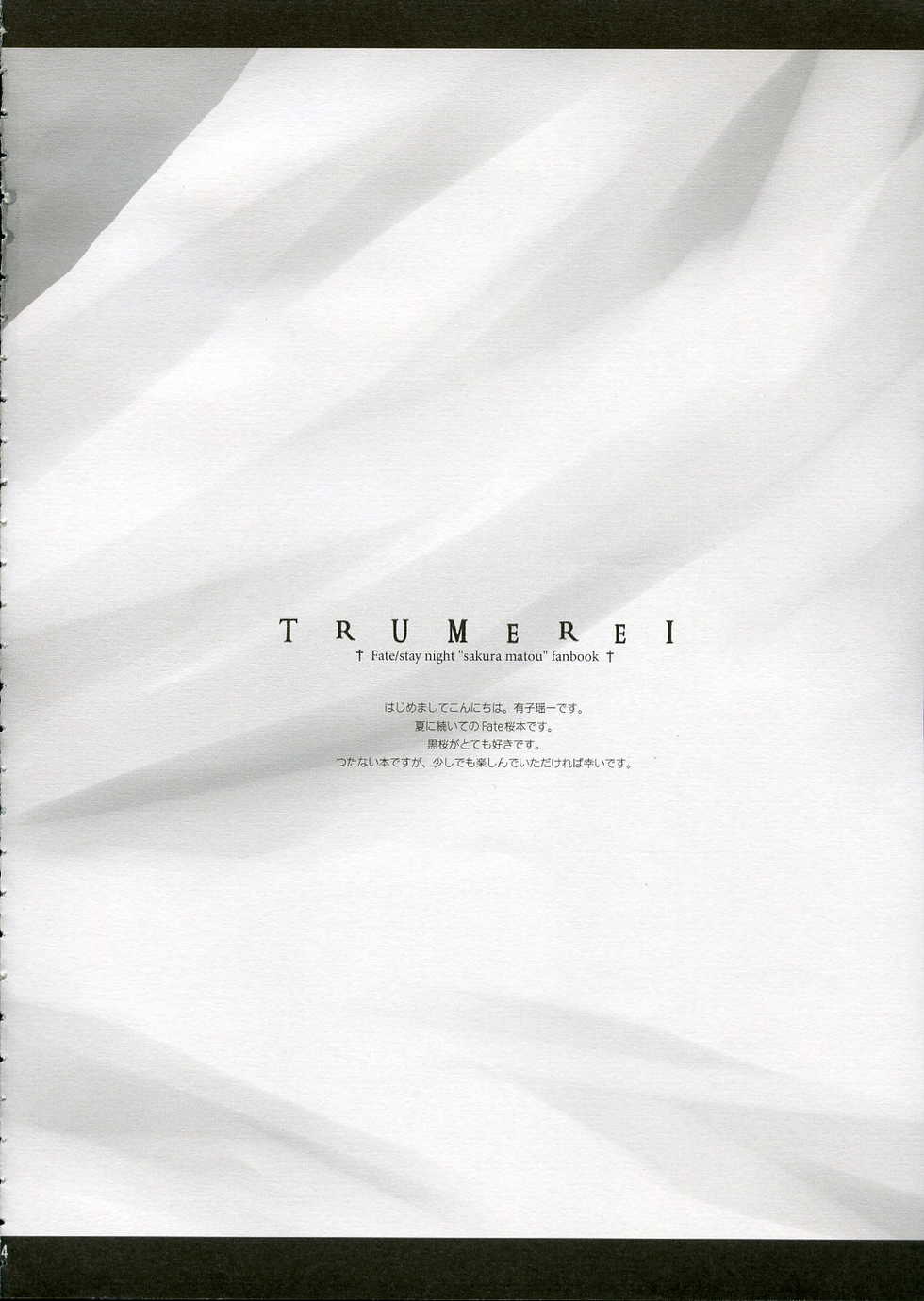 (CR36) [ARESTICA (Ariko Youichi)] Trumerei (Fate/stay night) - Page 3