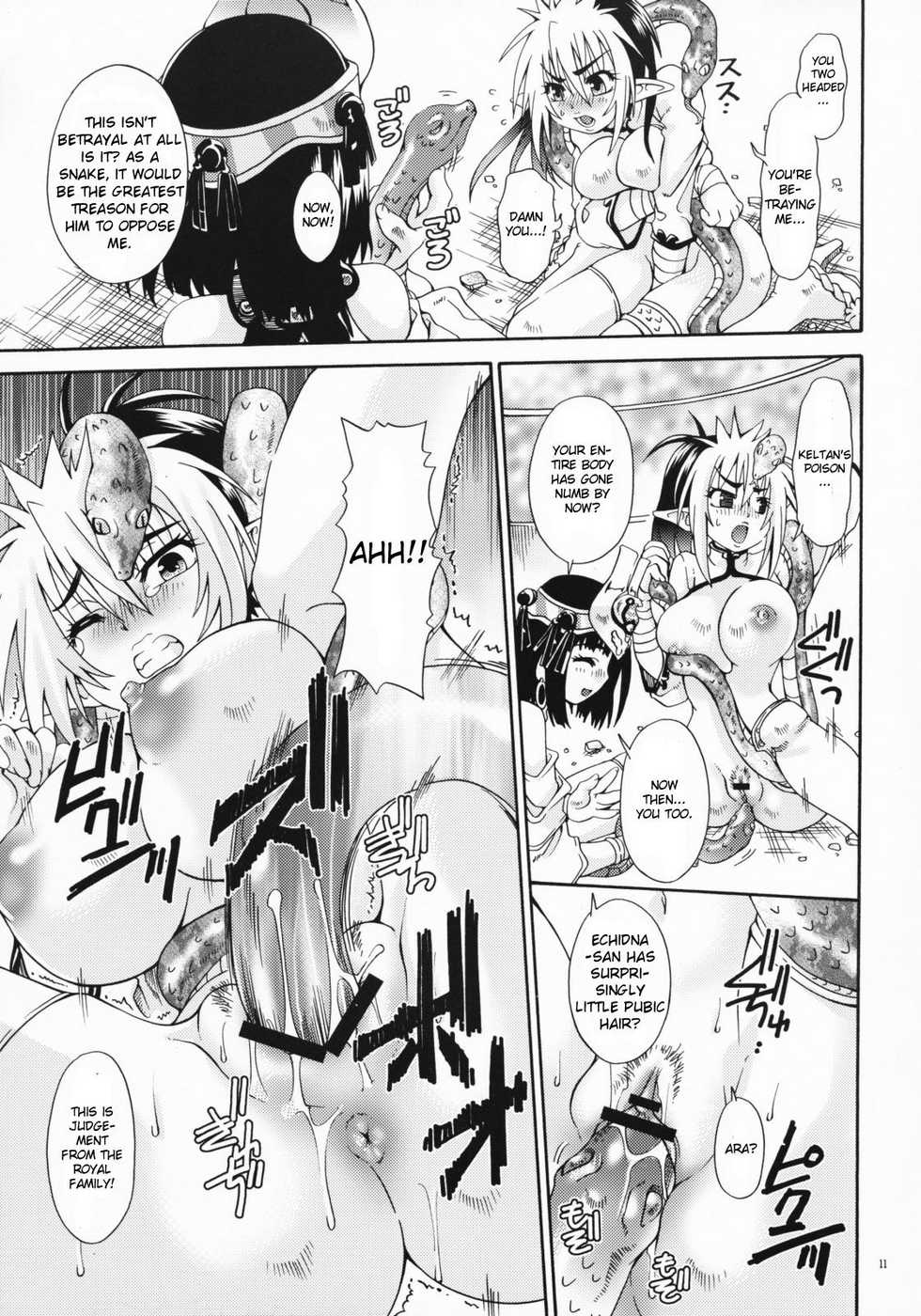 (C71) [Search-Light (Kurosaki Kotora)] Cat Fight Royal (Queen's Blade) [English] [doujin-moe.us] - Page 10