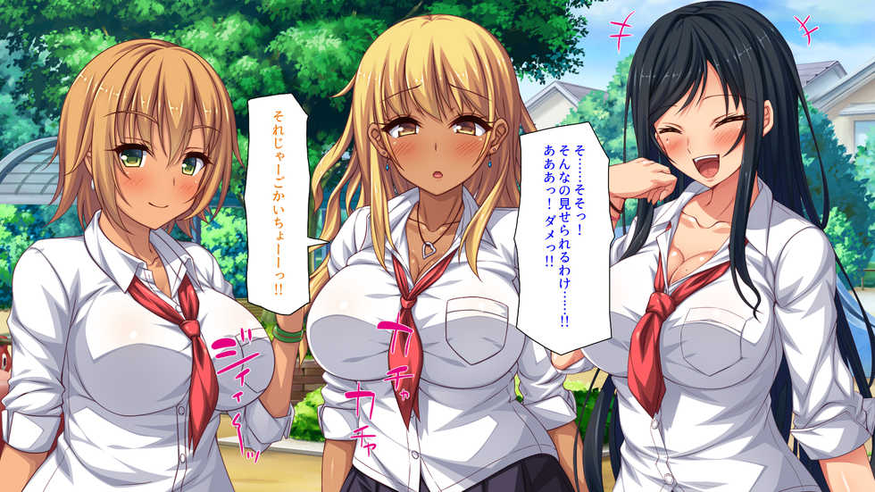 [Shirukke no Ooi Zakuro (Various)] Namaiki Gal Bitch wa InCha Bocchi no Boku no Dekachin ni Kyoumi Shinshin - Page 17
