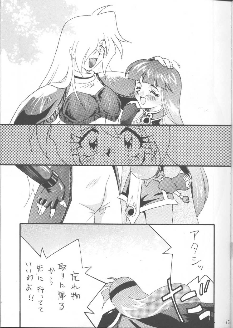 [Ginmomodou (Mita Satomi)] SLAYERS ADULT 12 (Slayers) - Page 14