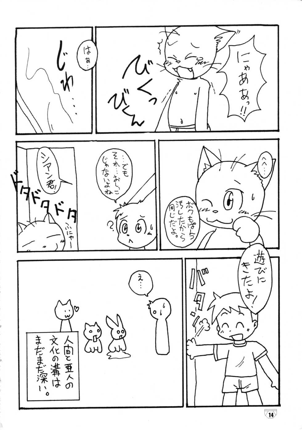 (Shotaket 11) [Yamaneko Doumei] Brief! - Page 13