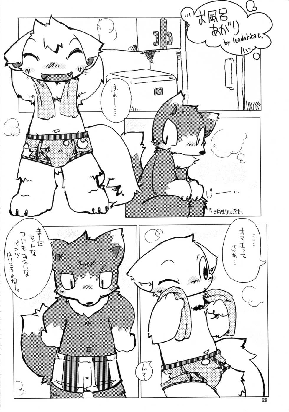 (Shotaket 11) [Yamaneko Doumei] Brief! - Page 25