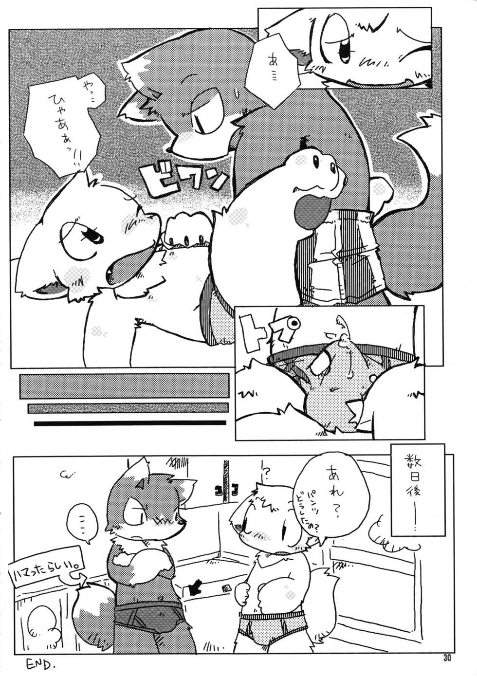 (Shotaket 11) [Yamaneko Doumei] Brief! - Page 29