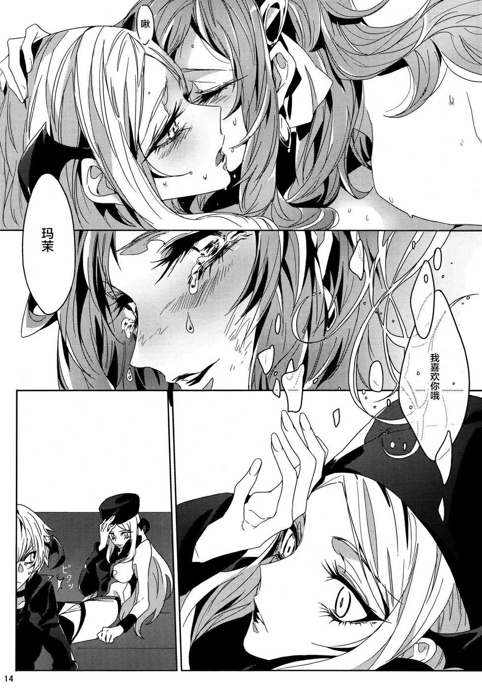 (GirlsLoveFestival 9) [TimaTima (Tima)] IF (Dokidoki! Precure) [Chinese] [WTM直接汉化] - Page 14